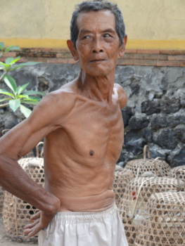Ubud - De man met zijn hanen