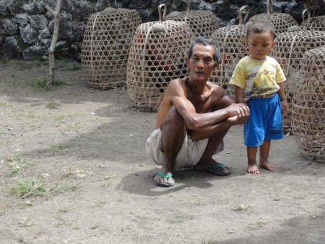 Ubud - De man met de hanen part 2