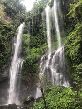 Bali - Sekumpul waterfall