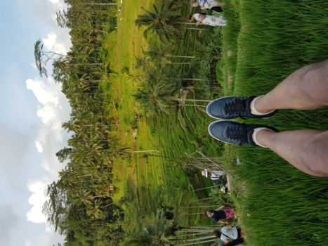 Bali - The world at your feet