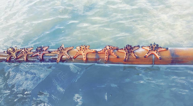 Rondreis Bali & Lombok - Starstruck.