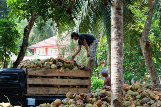 Rondreis Bali, Java & Lombok