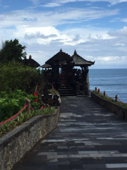 Bali - Dit hoort er ook bij. Cultuur !!