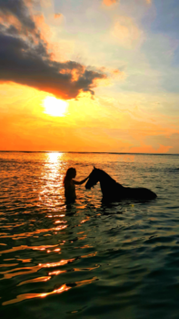 Gili-eilanden - Seahorse rendez vous