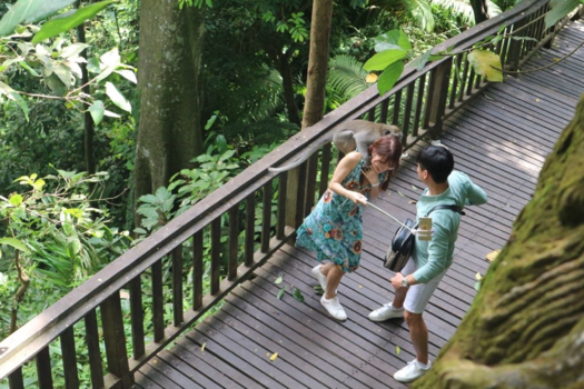 Bali - Attacked by a monkey