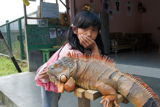 Bali - Bali een paradijs ?
