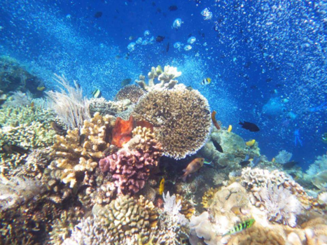 Sulawesi - Mooi Sulawesi