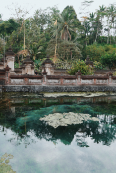 Bali - Feels like Jungle Book