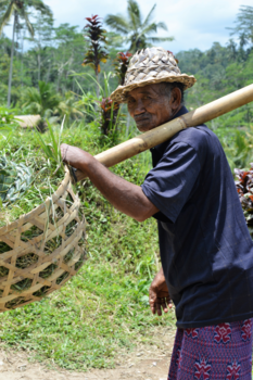 Bali - Friendly smile