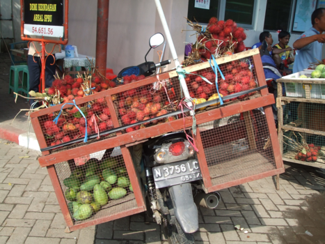 Rondreis Bali & Java - Vervoer