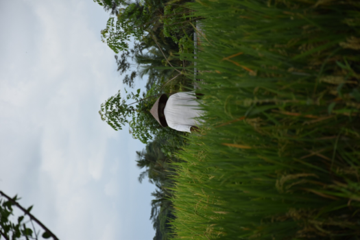 Bali - Man with a plan