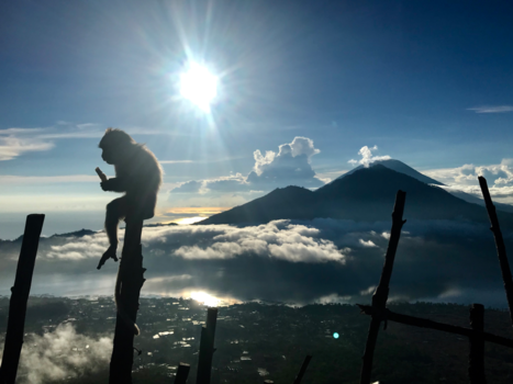 Bali - Aap en vulkaan Agung