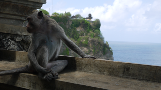 Bali - Uluwatu tempel