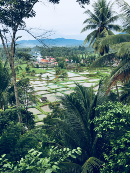 Sumatra - Overweldigend