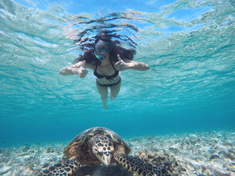 Gili-eilanden - Turtle Paradise