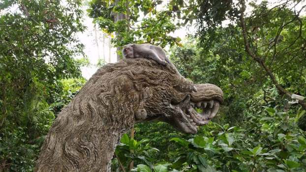 Bali - Monkey forest Ubud - Bali