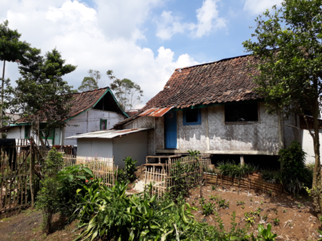 Java - Theeplantage. Woningen van de theeplukkers