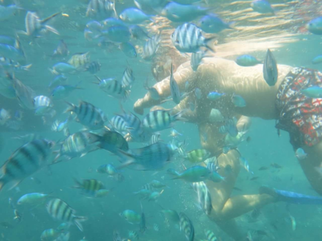 Karimunjawa Marine National Park