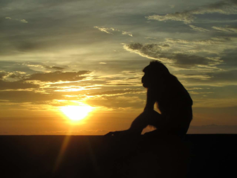 Bali - Zonsondergang Uluwatu tempel