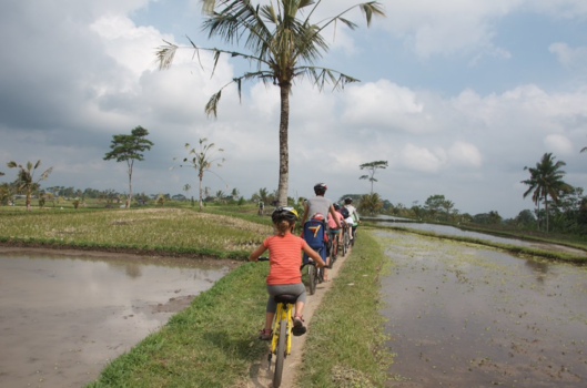 Bali - Zoals echte Nederlanders op de wielen