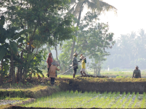Java - een vroege ochtend in Yogjakarta