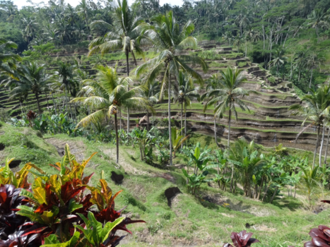 Bali - Uluwatu, Bali