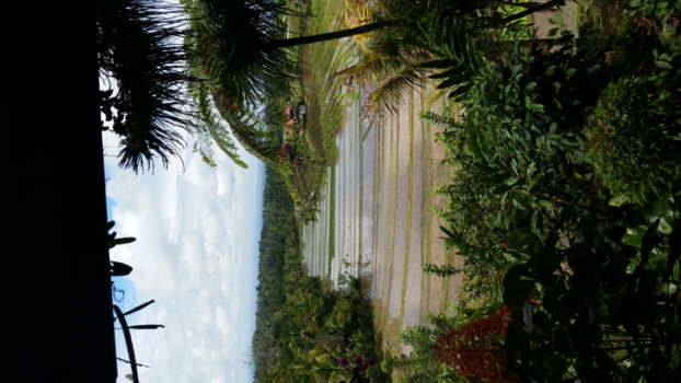 Bali - Zo typerend Bali