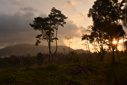 Rondreis Bali & Java - sunset.