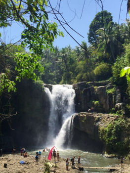 Bali - Bali met al zijn pracht