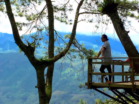 Java - Omah Kayu Tree House Malang