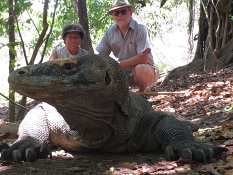 Flores - eenmalige ontmoeting