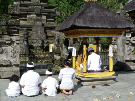 Rondreis Indonesië in vier weken - Offer