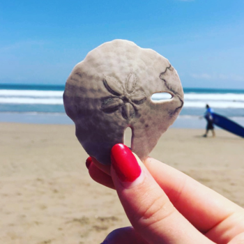 Bali - One of the special things about Bali