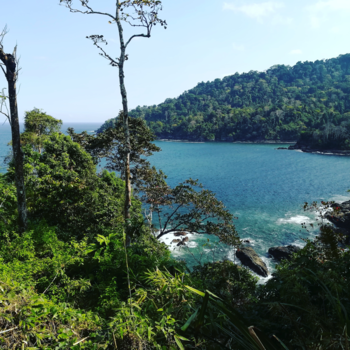 Java - Onderweg naar Sukamade Beach