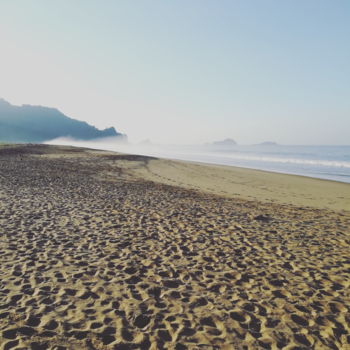 Java - Sukamade Beach