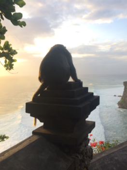 Bali - Mooiste zonsondergang