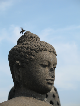 Java - Borobudur met vlieg