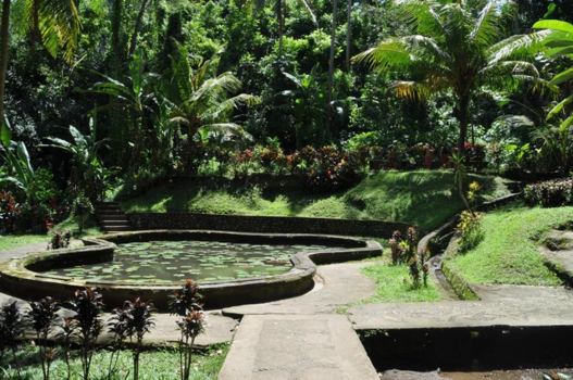 Bali - Bali; het groene eiland van de goden