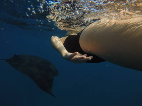Bali - Zwemmen met mantaroggen