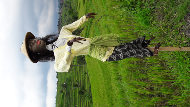 Rondreis Indonesië in vier weken - Vogelverschrikker op de rijstvelden