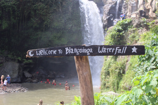 Bali - Waterval