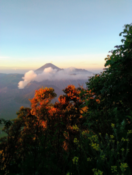 Rondreis Sulawesi - Puff!