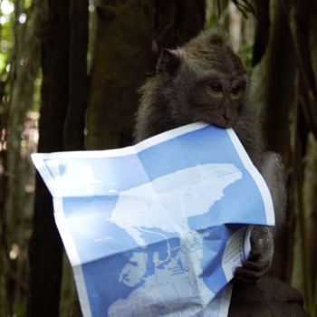 Bali - Go where you feel most alive!