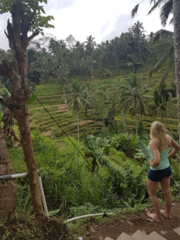 Bali - Ubud
