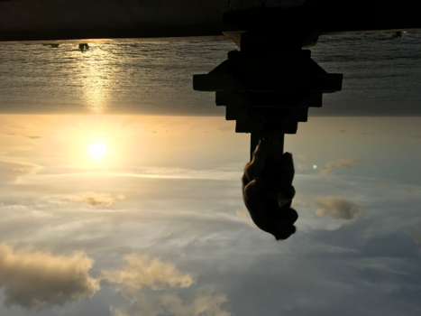 Pura Luhur Uluwatu - Uluwatu monkey