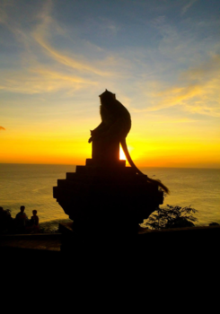 Bali - Monkey business