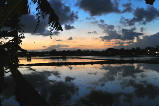 Bali - Sunset reflection