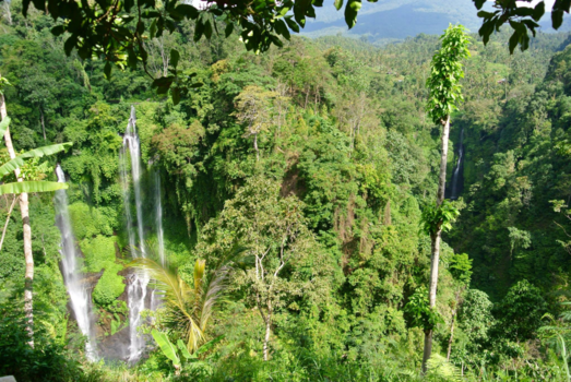 Bali - waterfall within nature