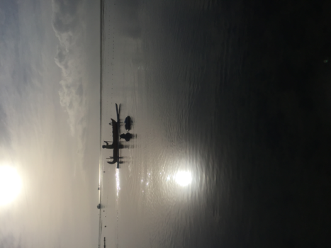 Bali - Bali my dream