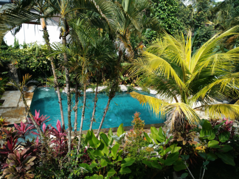 Bali - Tropisch zwembad @Bali